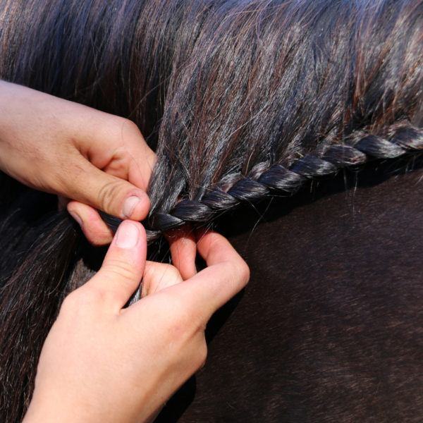 Nathalie Horse Care Strong Hold Plait 2