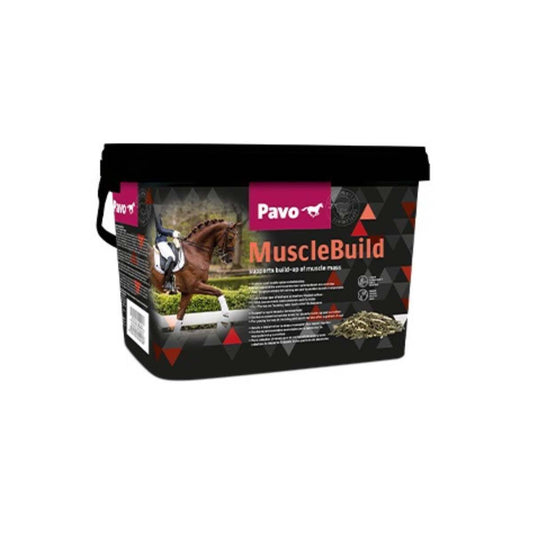 Pavo MuscleBuild, 3kg 1