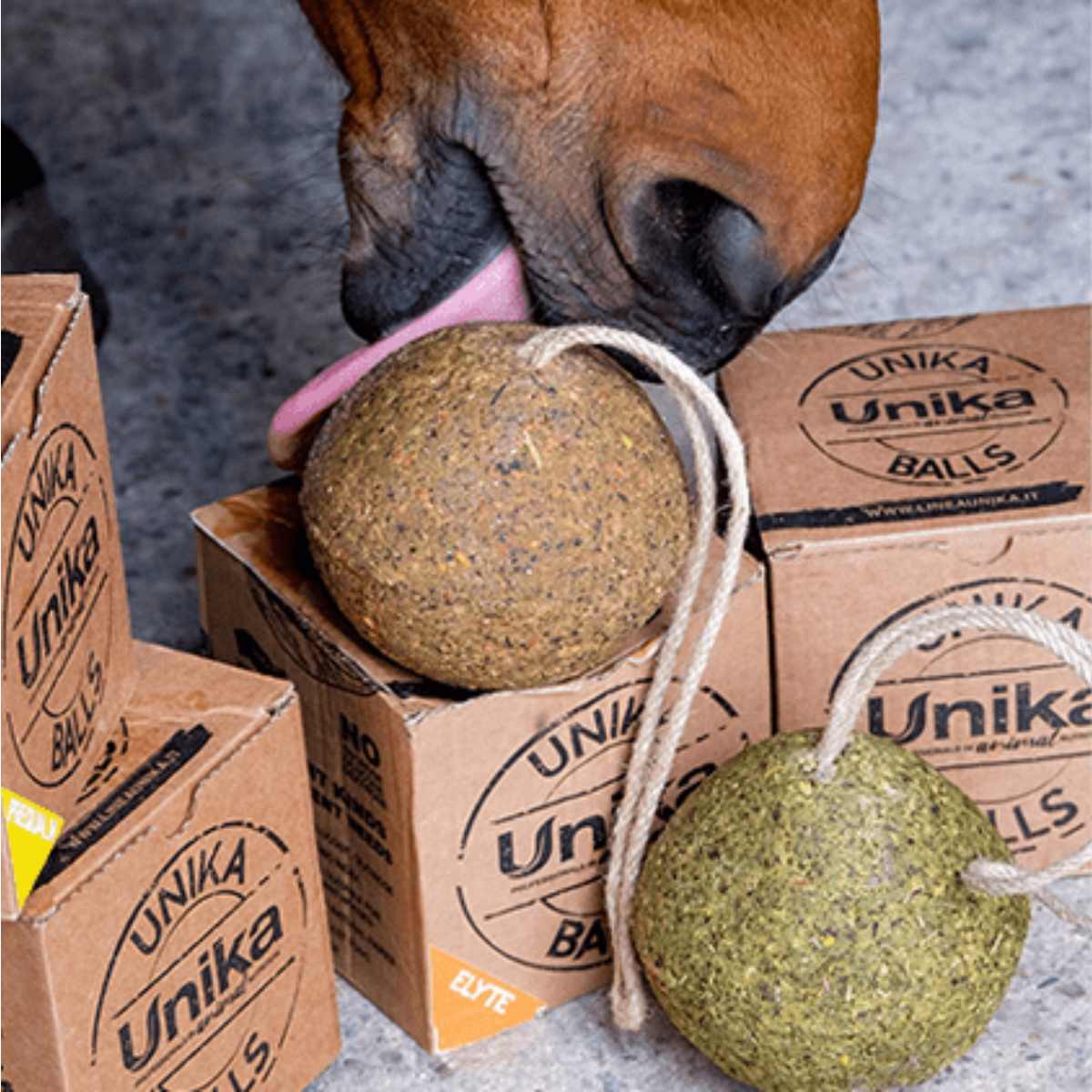 Unika Ball Gastro 2