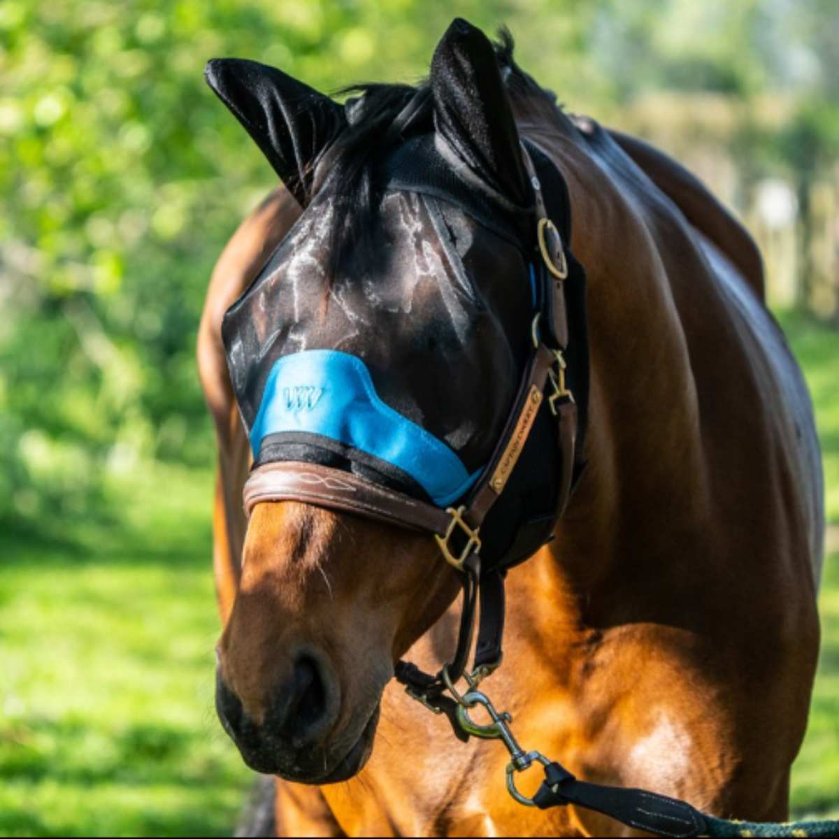 Woof Wear UV Fluemaske med ører 2